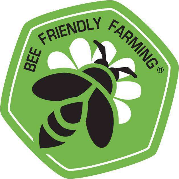 BFF_Logo_1_1__1